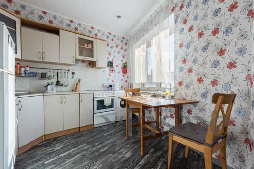 1k apartment on Vasilevsky Island, Saint Petersburg - günlük kira için daire