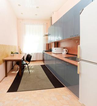 Apartment in the center of St.Petersburg, Saint Petersburg - günlük kira için daire