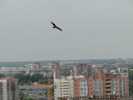Затишна квартира, з видом на все місто, Новосибірськ - квартира подобово