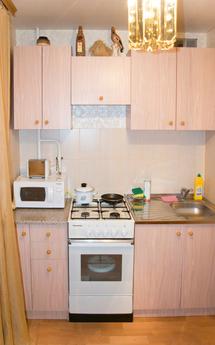 2-bedroom. apartment in the center, Voronezh - apartment by the day