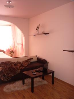 Studio apartment for rent in the center, Penza - günlük kira için daire