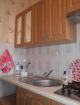 Nice apartment near the sea, Odessa - apartment by the day