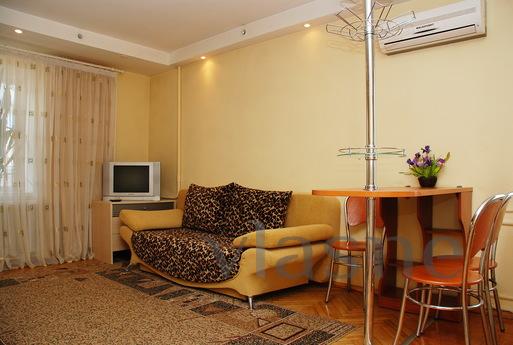 The apartment-studio in the city center, Kyiv - apartment by the day