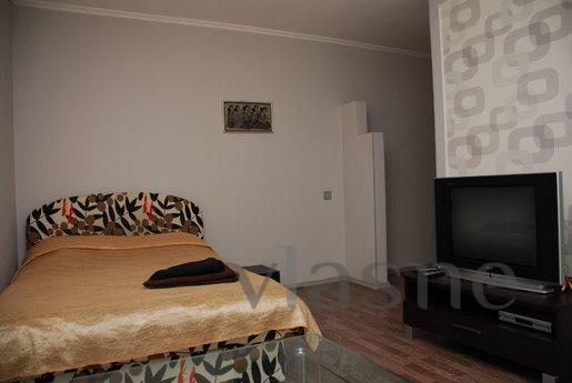 Recently renovated apartment, Kyiv - günlük kira için daire