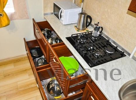 Центр Нова 1-кімнатна біля кафе 'Moloko', Мукачево - квартира посуточно