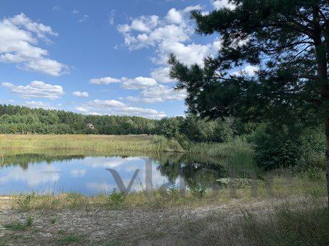 Çam ormanında göl kenarında harika bir t, Voropayevo - günlük kira için daire