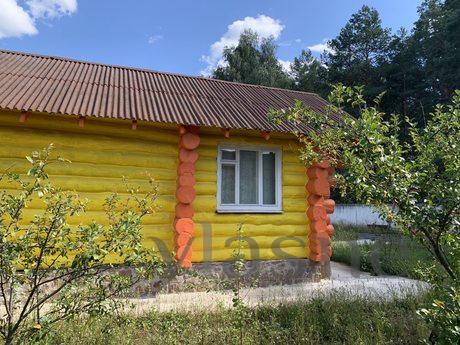 Cudowne wakacje nad jeziorem w sosnowym lesie, Voropayevo - mieszkanie po dobowo