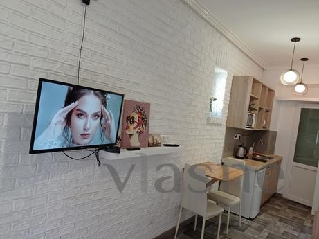 Podobova rent studio apartment in the ce, Lviv - mieszkanie po dobowo