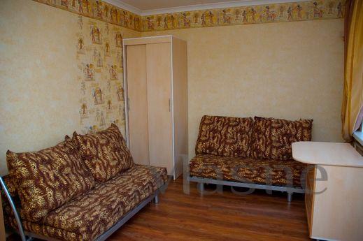 Gorgeous one bedroom apartment, Krasnoyarsk - günlük kira için daire