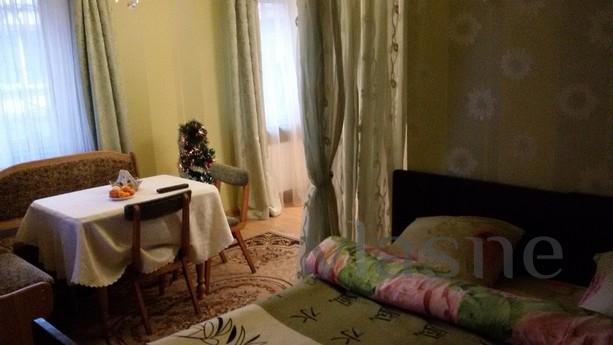 Cozy apartment, Lutsk - apartment by the day