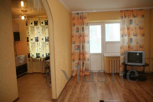 Comfortable ODN. Renovated apartments, Vinnytsia - mieszkanie po dobowo