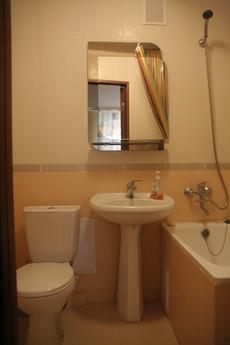 Comfortable ODN. Renovated apartments, Vinnytsia - günlük kira için daire