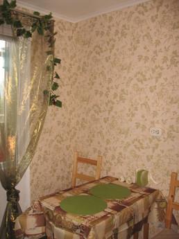 Квартира на Хохрякова, 100, Єкатеринбург - квартира подобово