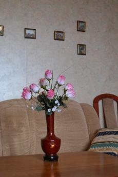 Large one-bedroom apartment., Kaliningrad - apartment by the day