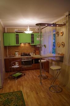 One bedroom studio apartment in the cent, Kaliningrad - günlük kira için daire