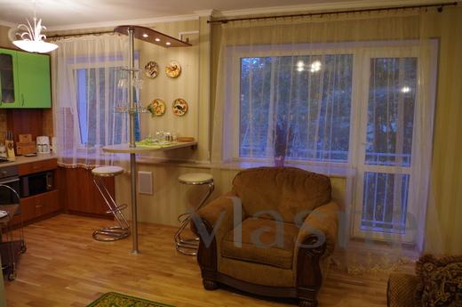 One bedroom studio apartment in the cent, Kaliningrad - günlük kira için daire