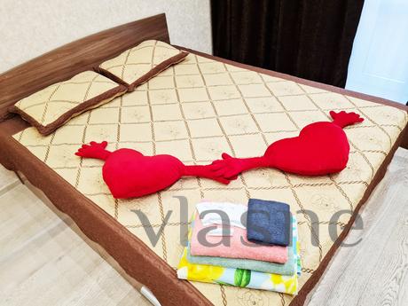 AMAZING APARTMENT, Novosibirsk - apartment by the day