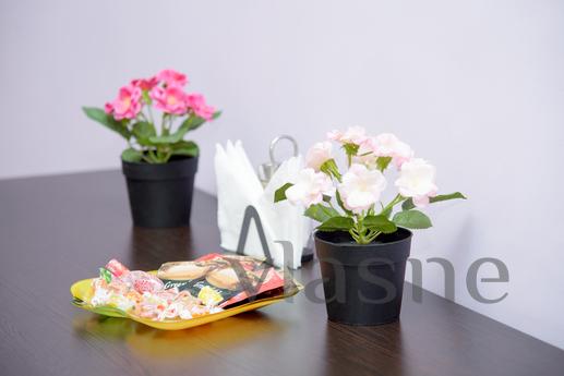 LIVE COMFORTABLY AND BE IN THE CENTER OF, Novosibirsk - apartment by the day