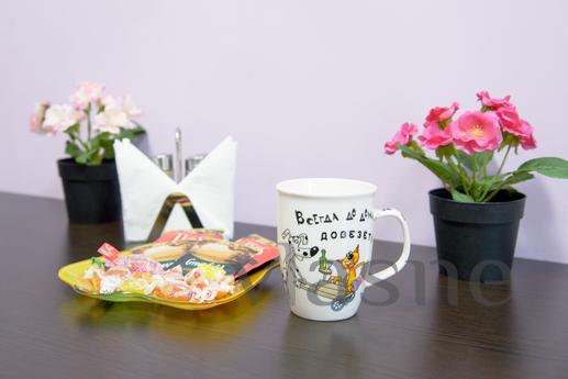 LIVE COMFORTABLY AND BE IN THE CENTER OF, Novosibirsk - apartment by the day