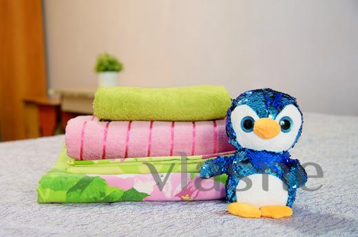 LIVE COMFORTABLY AND BE IN THE CENTER OF, Novosibirsk - apartment by the day