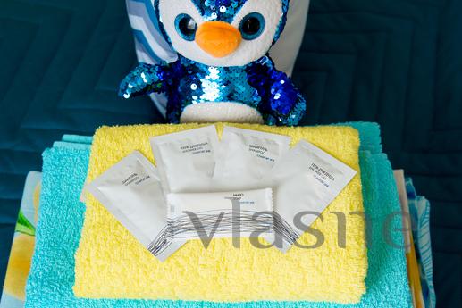 THIS APARTMENT WILL NOT LEAVE YOU INDIVI, Novosibirsk - apartment by the day