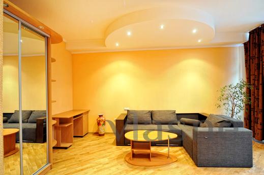 Apartment on European standards. Center, Kyiv - mieszkanie po dobowo