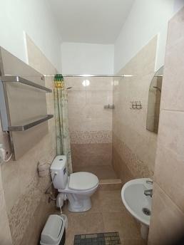 Büyük bir revizyondan sonra evdeki odala, Berehovo - günlük kira için daire