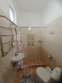 Büyük bir revizyondan sonra evdeki odala, Berehovo - günlük kira için daire