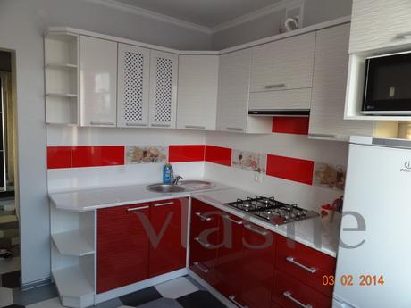 Luxury apartment., Ivano-Frankivsk - apartment by the day