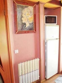 Rent our cozy apartment, Berdiansk - günlük kira için daire
