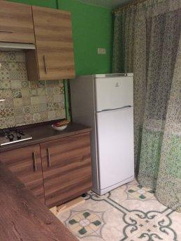 Onarımdan sonra 1 oda temizleyin, Kyiv - günlük kira için daire
