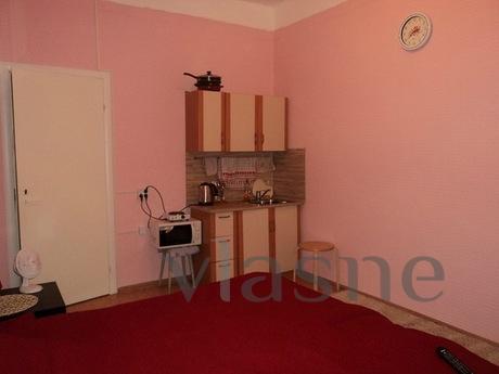 1 room apartment in the city center, Saint Petersburg - mieszkanie po dobowo