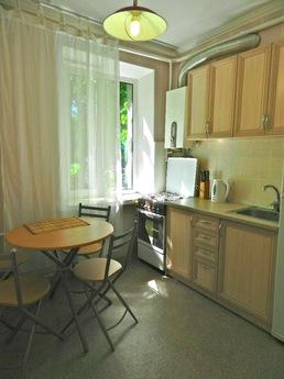 Beautiful and cozy apartment, Kyiv - günlük kira için daire