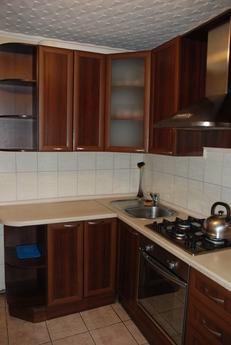 2 bedroom apartment in the center, Kyiv - günlük kira için daire