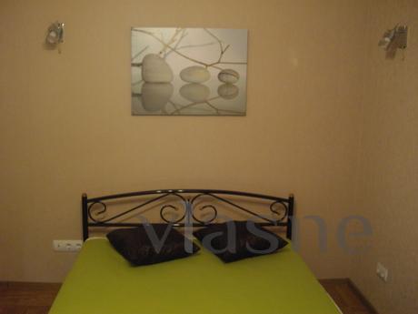 One bedroom apartment in the center of the city (street Sege