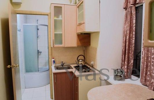Comfortable apartment near the Opera, Lviv - apartment by the day