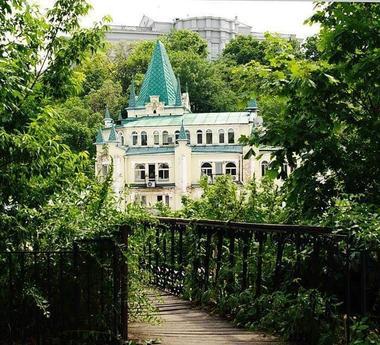 Urocze mieszkanie w samym sercu Kijowa, rąbek., Kyiv - mieszkanie po dobowo