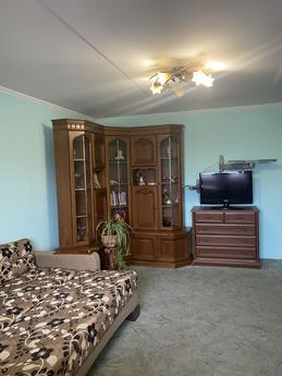 Renting a one-room apartment with a view of the lake. To the