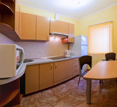 Apartment for rent in the city center, Odessa - günlük kira için daire