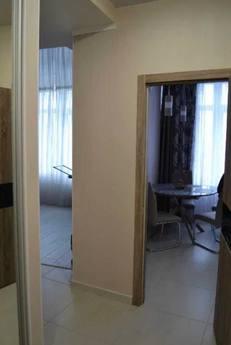 Rent 1 room apartment, Uzhhorod - apartment by the day