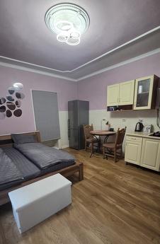 Здається однокімнатний будинок по центральній вулиці Мукачів