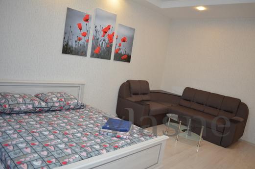 VIP Apartments in the center of Pochtovy, Krivoy Rog - mieszkanie po dobowo