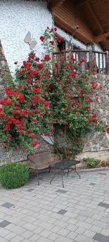 Садиба Янчар Апартаменти з Басейном, Яремча - квартира посуточно