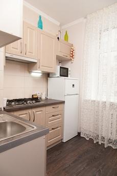 VIP apartment near the shopping center, Dnipro (Dnipropetrovsk) - apartment by the day