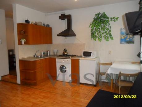 1 apartment for rent Mayakovskaya, Saint Petersburg - mieszkanie po dobowo