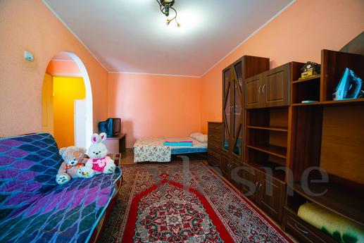 Renovated, 4 sp.m, wi-fi, air conditioni, Dnipro (Dnipropetrovsk) - mieszkanie po dobowo