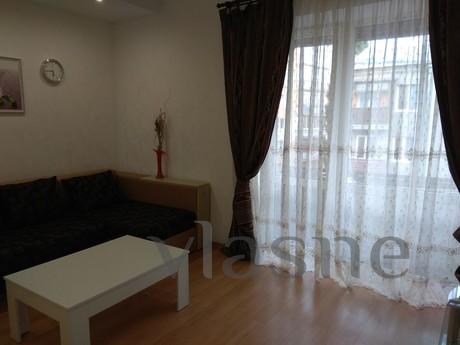 2 room apartment luxury on Pushkinskaya., Kharkiv - günlük kira için daire
