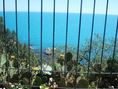 Detached house in Kastropol!, Yalta - apartment by the day