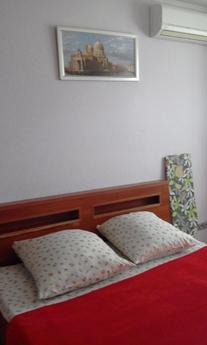 Dvuhkomn cozy studio with two air condit, Kyiv - apartment by the day