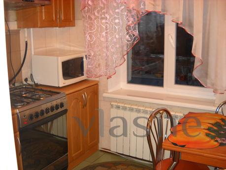 Cozy 1 bedroom apartment near the center, Kyiv - apartment by the day